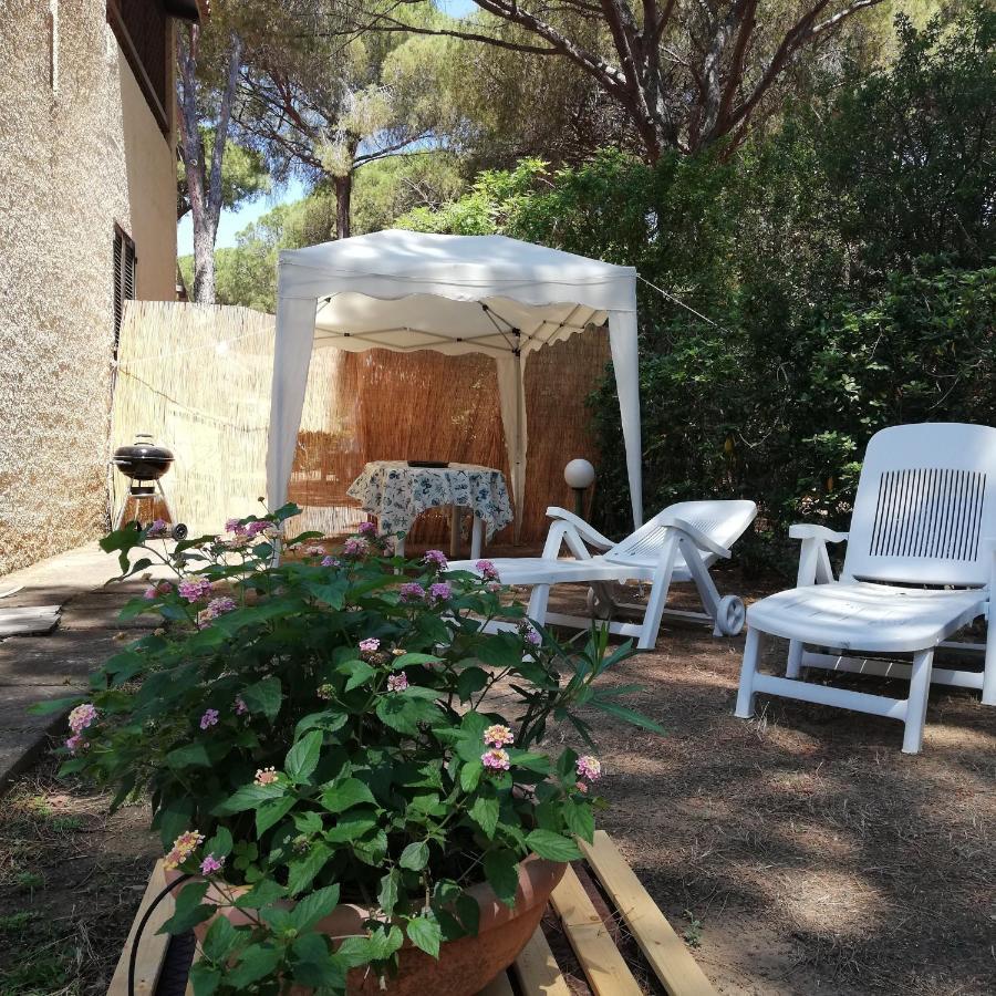 Oleandri Calaverde Sardegna Iun P1641 Pula Extérieur photo